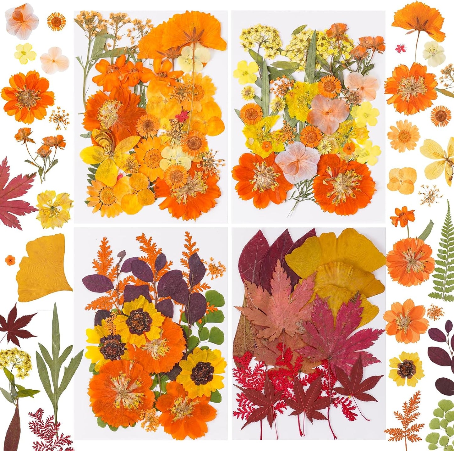 100 Pcs Fall Dried Pressed Flowers for Resin, Autumn Dried Flowers Leaves for DIY Crafts Thanksgiving Scrapbooking Jewelry Molds Soap Candle Making and Nail Decor (Orange)
