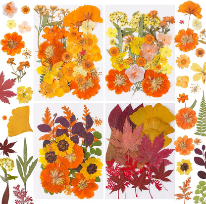 100 Pcs Fall Dried Pressed Flowers for Resin, Autumn Dried Flowers Leaves for DIY Crafts Thanksgiving Scrapbooking Jewelry Molds Soap Candle Making and Nail Decor (Orange)