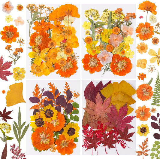 100 Pcs Fall Dried Pressed Flowers for Resin, Autumn Dried Flowers Leaves for DIY Crafts Thanksgiving Scrapbooking Jewelry Molds Soap Candle Making and Nail Decor (Orange)