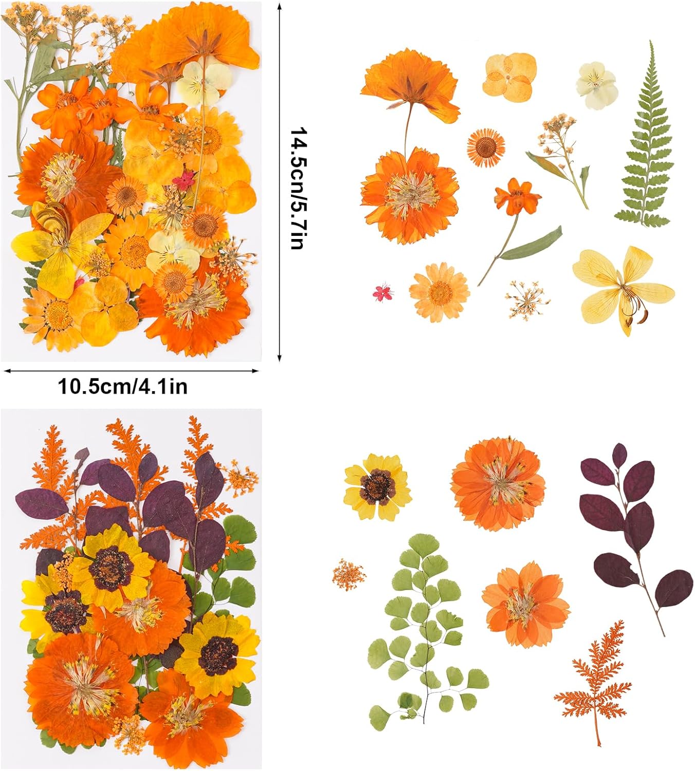 100 Pcs Fall Dried Pressed Flowers for Resin, Autumn Dried Flowers Leaves for DIY Crafts Thanksgiving Scrapbooking Jewelry Molds Soap Candle Making and Nail Decor (Orange)