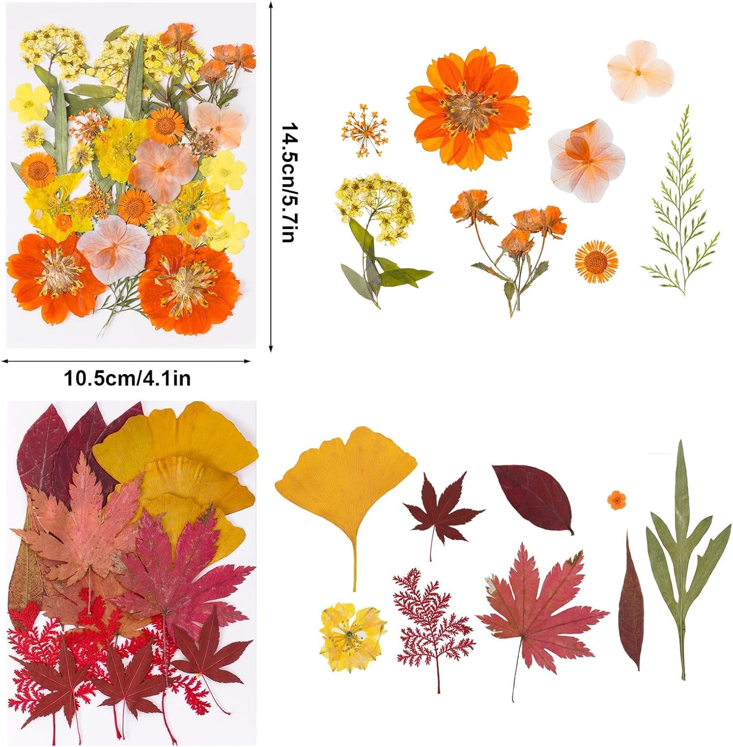 100 Pcs Fall Dried Pressed Flowers for Resin, Autumn Dried Flowers Leaves for DIY Crafts Thanksgiving Scrapbooking Jewelry Molds Soap Candle Making and Nail Decor (Orange)