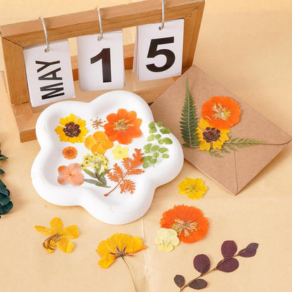 100 Pcs Fall Dried Pressed Flowers for Resin, Autumn Dried Flowers Leaves for DIY Crafts Thanksgiving Scrapbooking Jewelry Molds Soap Candle Making and Nail Decor (Orange)
