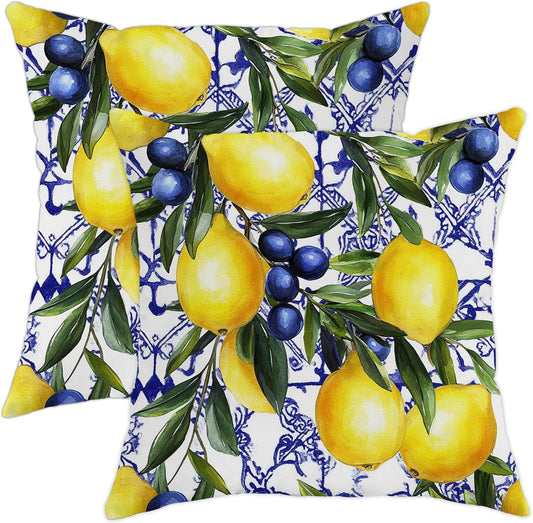 Lemon and Blueberry Throw Pillow Covers Set of 2, Bright Yellow and Blue Floral Cushions, Summer Decorative Square Farmhouse Decor for Home Couch Sofa Bed 16x16 Inch
