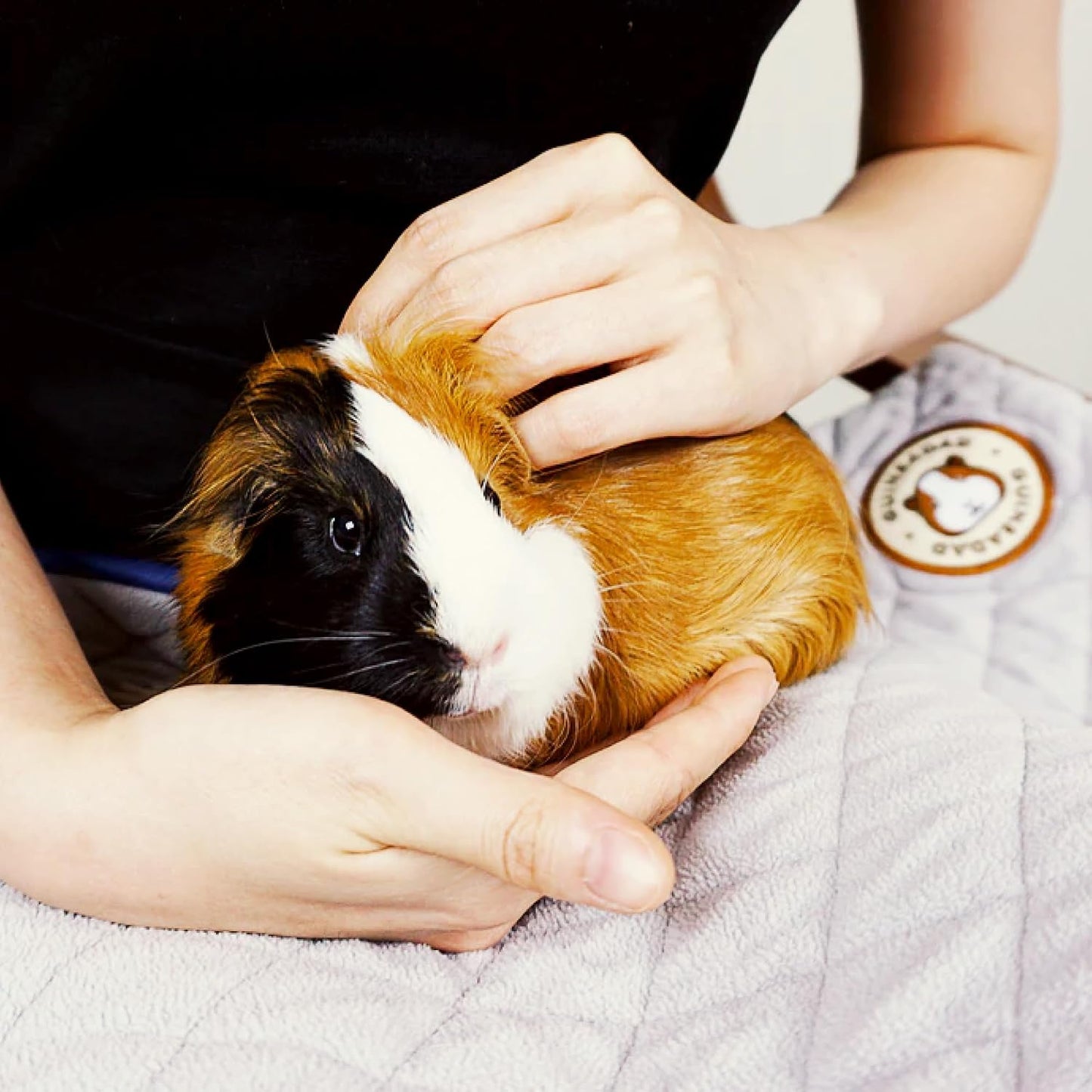 Original Liner - Yellow Fleece Guinea Pig Bedding - Reusable Guinea Pig Cage Liner - Extra Absorbent with Waterproof Bottom and Burrowing Pocket - Small Pet Supplies - 2x3 C&C