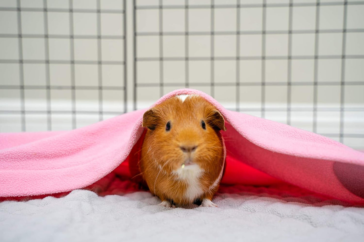 Original Liner - Yellow Fleece Guinea Pig Bedding - Reusable Guinea Pig Cage Liner - Extra Absorbent with Waterproof Bottom and Burrowing Pocket - Small Pet Supplies - 2x3 C&C