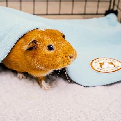 Original Liner - Yellow Fleece Guinea Pig Bedding - Reusable Guinea Pig Cage Liner - Extra Absorbent with Waterproof Bottom and Burrowing Pocket - Small Pet Supplies - 2x3 C&C
