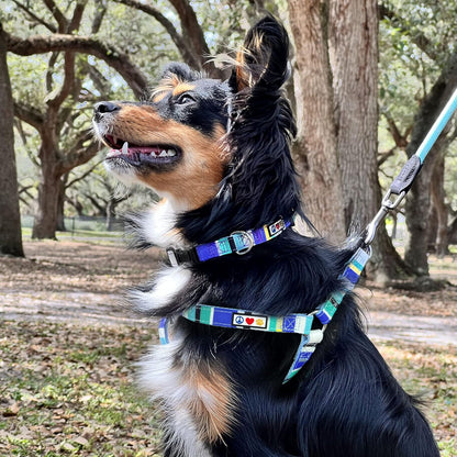 Pet Soft Adjustable Solid Color Nylon Puppy/Dog Collar Personalized Customizable Dog Collar Embroidered Customize w Pet Name & Phone Number X-Small Blue/Green/Yellow