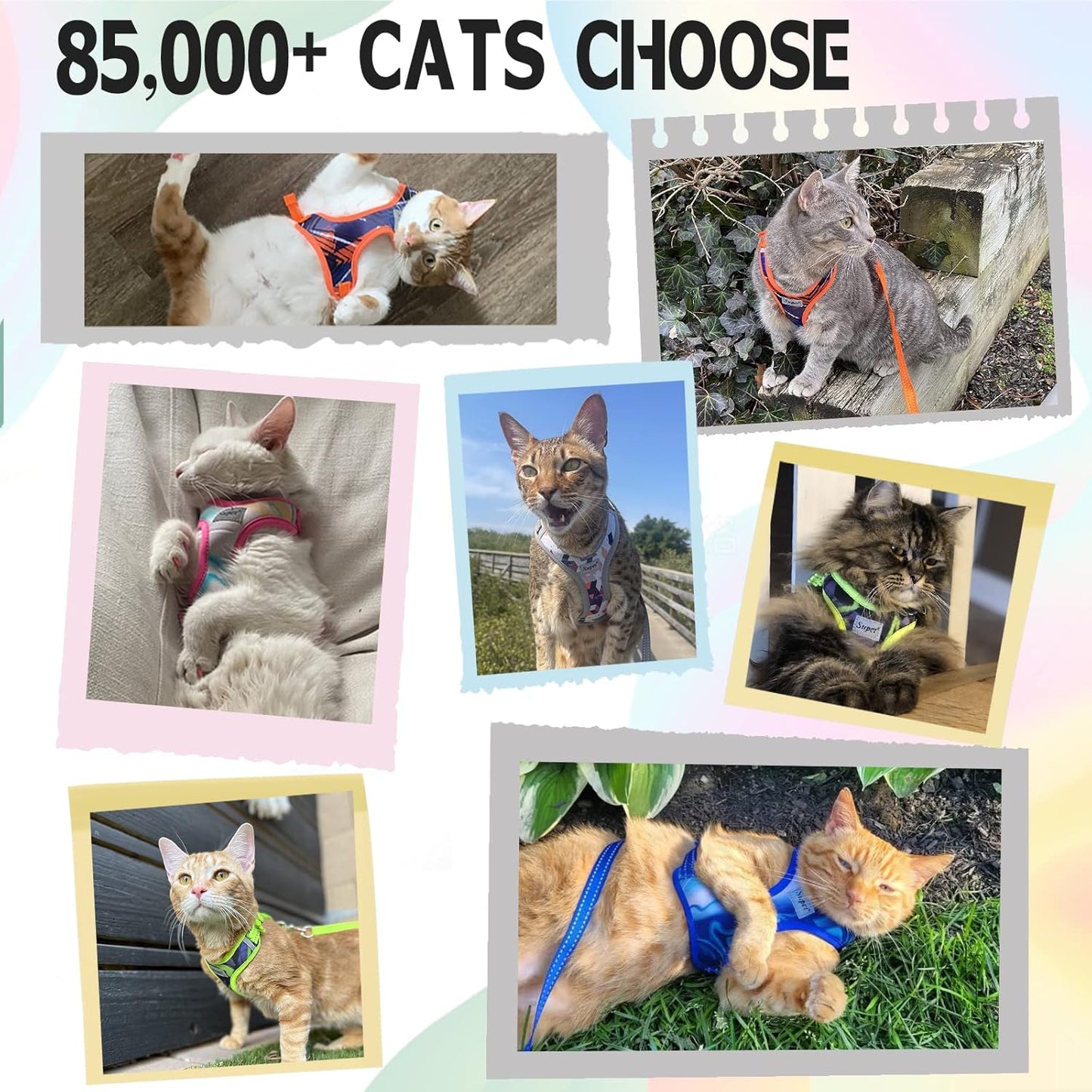 Cat Harness and Leash Escape Proof, Adjustable Cat Vest Harness and Leash Set for Walking, Pet Harness with Reflective Trim for Cats Kittens S（Chest:9.6-15.7''