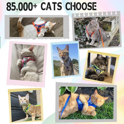 Cat Harness and Leash Escape Proof, Adjustable Cat Vest Harness and Leash Set for Walking, Pet Harness with Reflective Trim for Cats Kittens S（Chest:9.6-15.7''