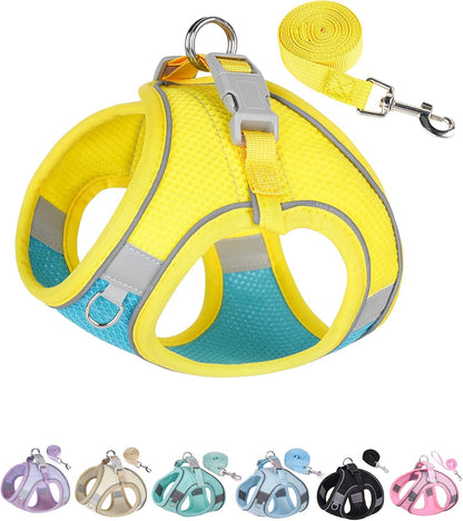 Dog Harness for Small Medium Dogs No Pull, Puppy Harness and Leash Set, Puppy Harness for Small Dogs, Step in Harness for Small Dogs, Small Dog Harness, mesh Dog Harness. (Blue Yellow, S)