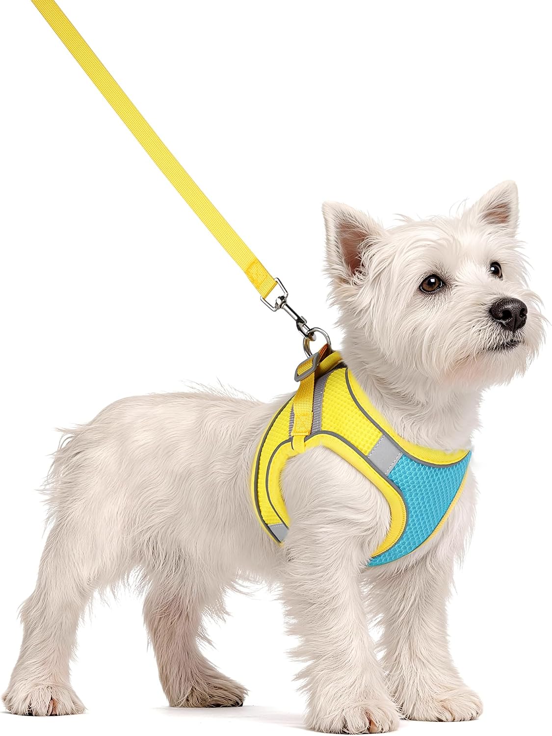 Dog Harness for Small Medium Dogs No Pull, Puppy Harness and Leash Set, Puppy Harness for Small Dogs, Step in Harness for Small Dogs, Small Dog Harness, mesh Dog Harness. (Blue Yellow, S)