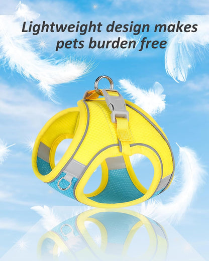 Dog Harness for Small Medium Dogs No Pull, Puppy Harness and Leash Set, Puppy Harness for Small Dogs, Step in Harness for Small Dogs, Small Dog Harness, mesh Dog Harness. (Blue Yellow, S)