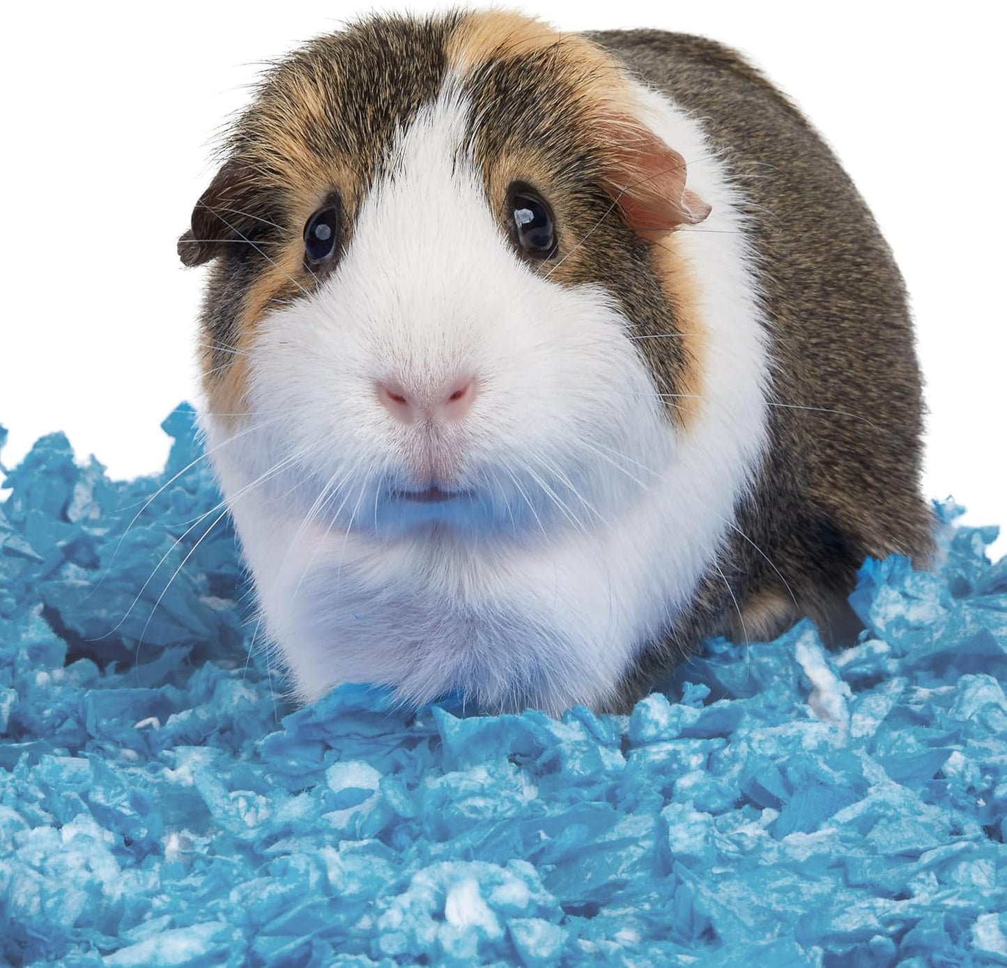 Clean & Cozy Confetti Bedding for Pet Guinea Pigs, Rabbits, Hamsters, Gerbils, and Chinchillas, 49.2 Liters