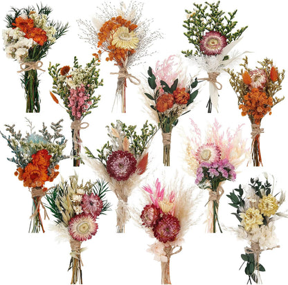 Layhit 12 Pcs Boho Dried Flower Bouquet Mini Wedding Handmade Dry Flowers Decor for Vase Crafts DIY Photo Boutonniere for Men Floral Plant for Bridesmaid Gift Birthday Decor(African Daisy)