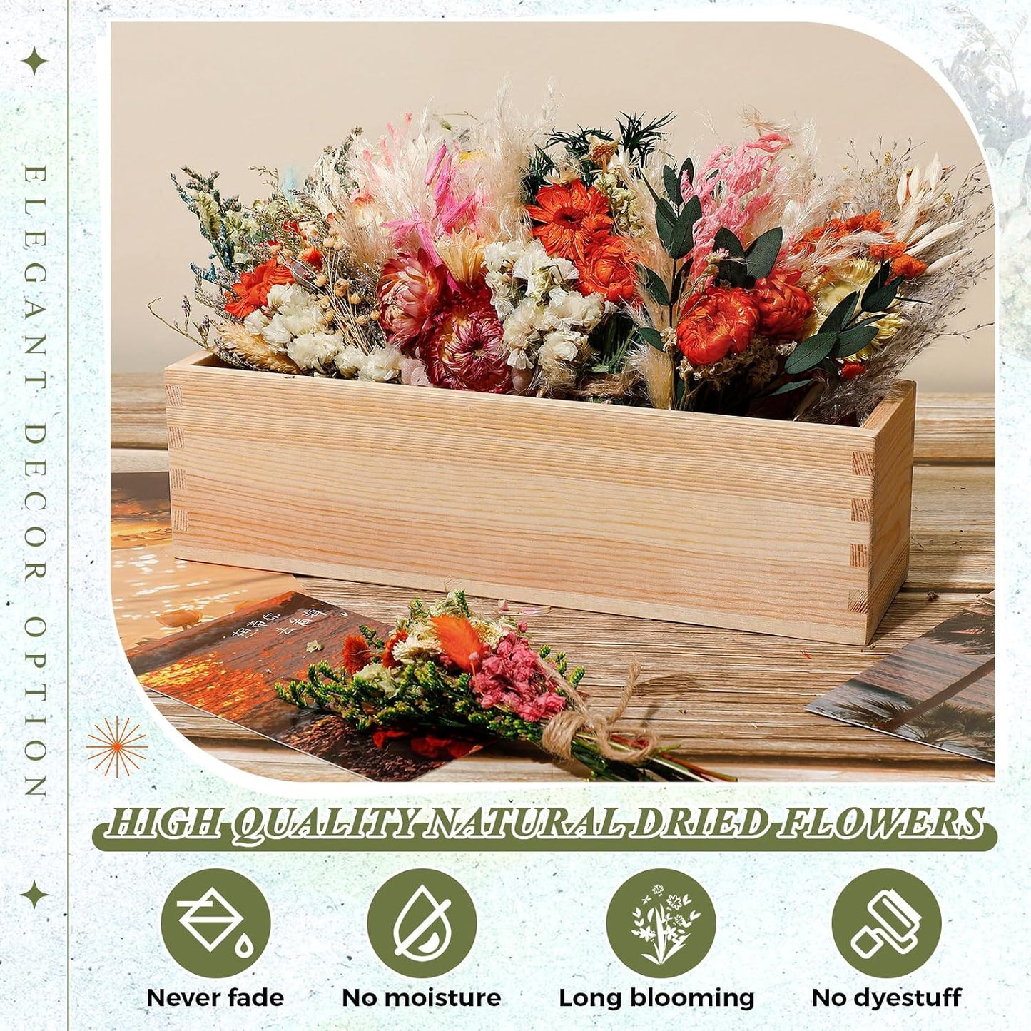 Layhit 12 Pcs Boho Dried Flower Bouquet Mini Wedding Handmade Dry Flowers Decor for Vase Crafts DIY Photo Boutonniere for Men Floral Plant for Bridesmaid Gift Birthday Decor(African Daisy)