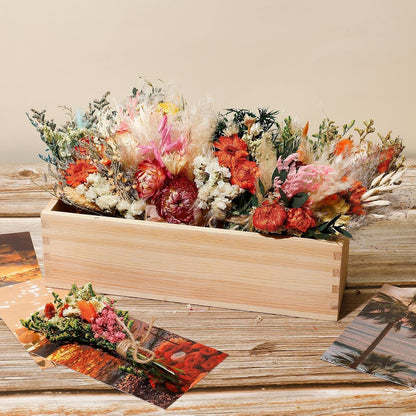 Layhit 12 Pcs Boho Dried Flower Bouquet Mini Wedding Handmade Dry Flowers Decor for Vase Crafts DIY Photo Boutonniere for Men Floral Plant for Bridesmaid Gift Birthday Decor(African Daisy)