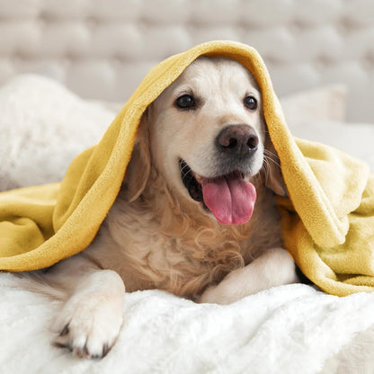 Fleece Blanket Soft Plush Twin Size Blanket Cream Yellow 60"x80" | Ultra Soft Fleece, Plush Microfiber, Lightweight Warmth, All Season Comfort, Fade Resistant, Machine Washable, Couch Sofa Bed