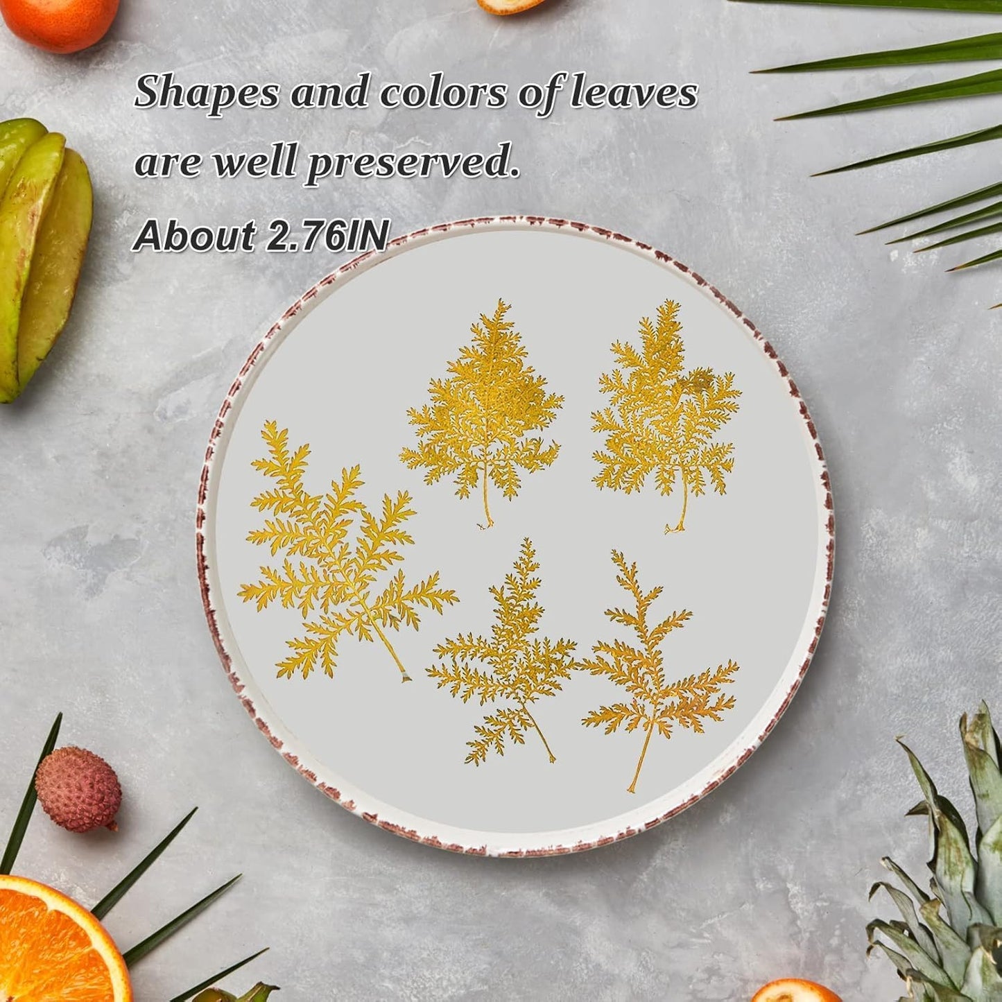 Large Size Golden Yellow Dried Sunflowers for Crafts Embellishment, Natural Real Pressed African Daisy for Resin DIY Jewellery Candle Making Phone Case Home Wedding Decor (3.14-3.54IN)