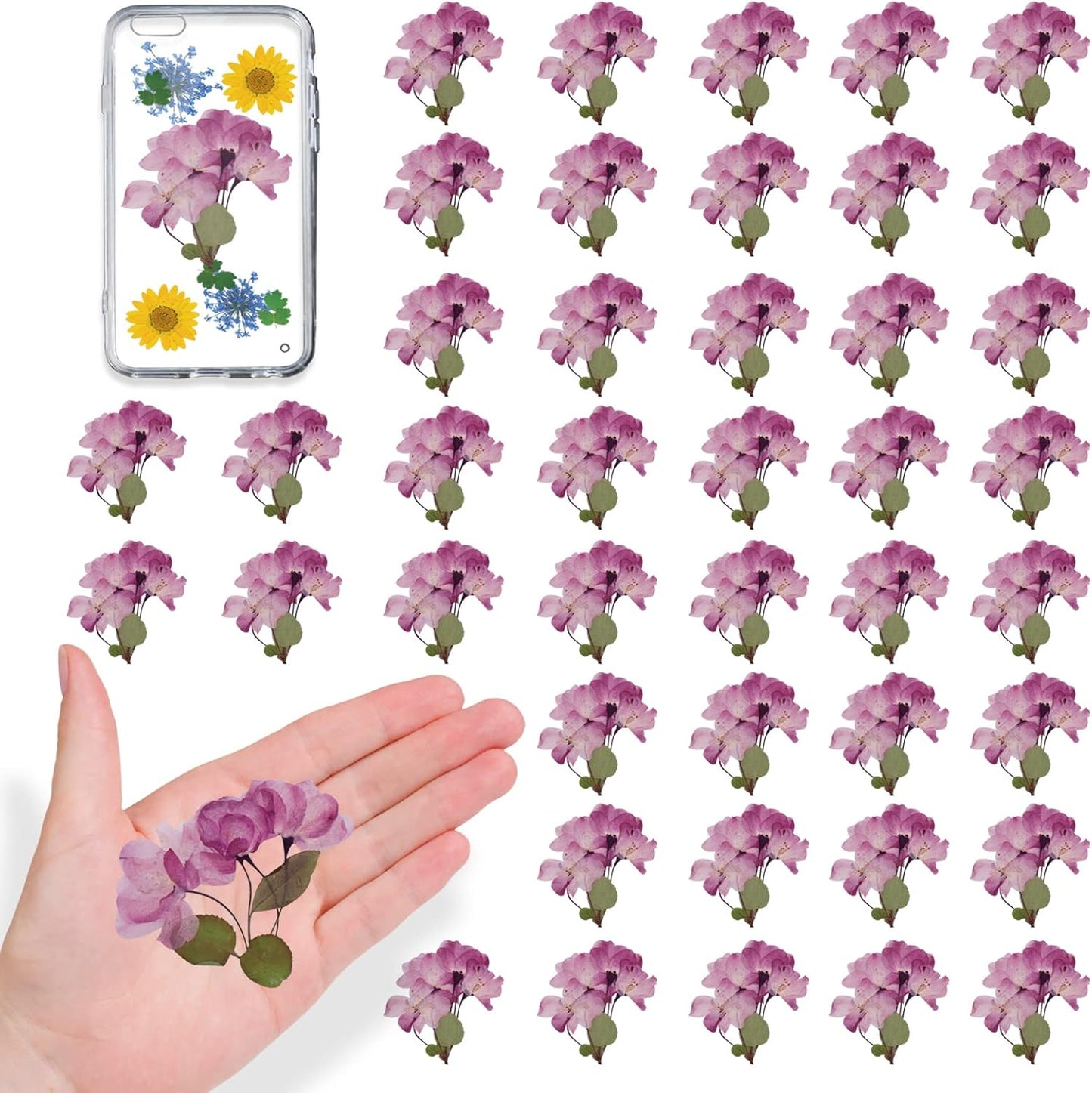 Large Size Golden Yellow Dried Sunflowers for Crafts Embellishment, Natural Real Pressed African Daisy for Resin DIY Jewellery Candle Making Phone Case Home Wedding Decor (3.14-3.54IN)
