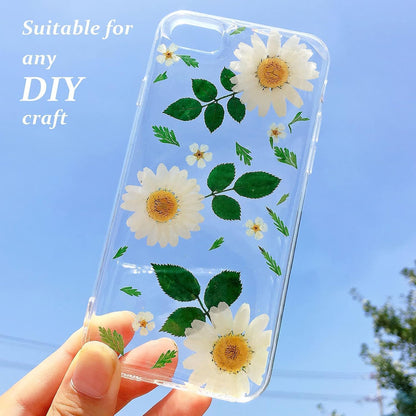 Large Size Golden Yellow Dried Sunflowers for Crafts Embellishment, Natural Real Pressed African Daisy for Resin DIY Jewellery Candle Making Phone Case Home Wedding Decor (3.14-3.54IN)