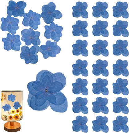 Large Size Golden Yellow Dried Sunflowers for Crafts Embellishment, Natural Real Pressed African Daisy for Resin DIY Jewellery Candle Making Phone Case Home Wedding Decor (3.14-3.54IN)