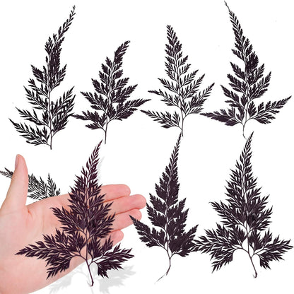 Large Size Golden Yellow Dried Sunflowers for Crafts Embellishment, Natural Real Pressed African Daisy for Resin DIY Jewellery Candle Making Phone Case Home Wedding Decor (3.14-3.54IN)
