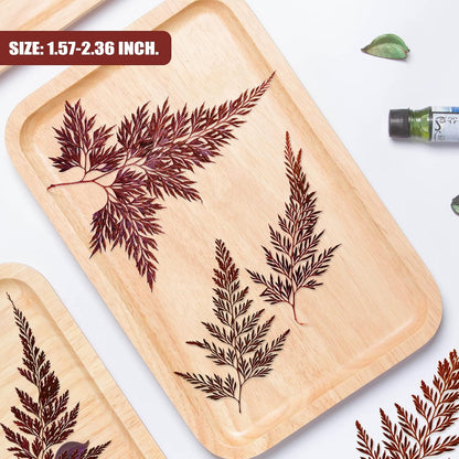Large Size Golden Yellow Dried Sunflowers for Crafts Embellishment, Natural Real Pressed African Daisy for Resin DIY Jewellery Candle Making Phone Case Home Wedding Decor (3.14-3.54IN)