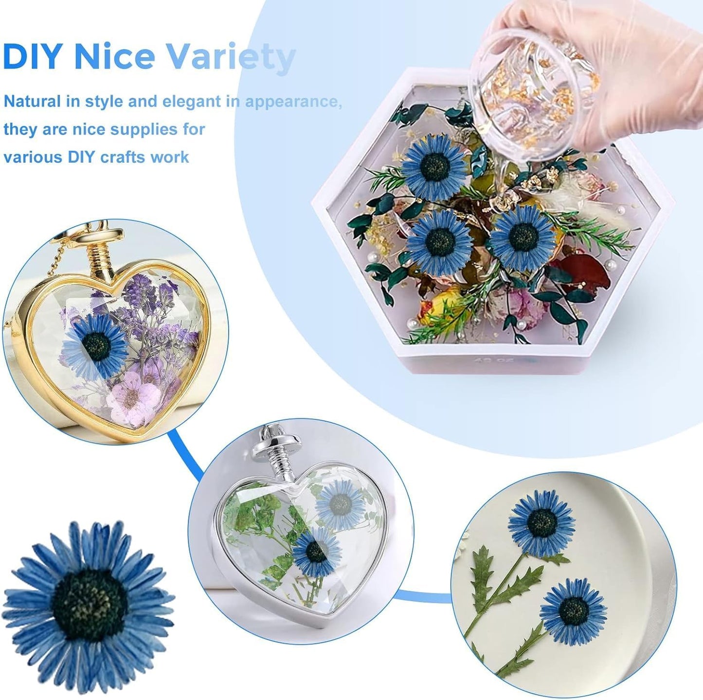 Large Size Golden Yellow Dried Sunflowers for Crafts Embellishment, Natural Real Pressed African Daisy for Resin DIY Jewellery Candle Making Phone Case Home Wedding Decor (3.14-3.54IN)