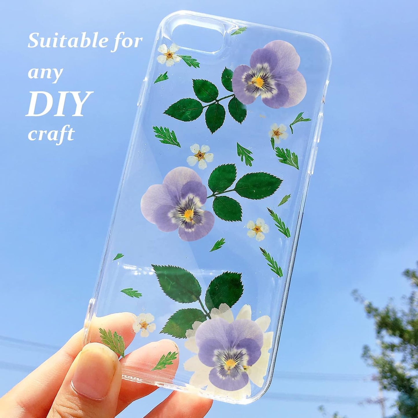 Large Size Golden Yellow Dried Sunflowers for Crafts Embellishment, Natural Real Pressed African Daisy for Resin DIY Jewellery Candle Making Phone Case Home Wedding Decor (3.14-3.54IN)