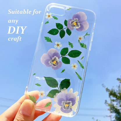 Large Size Golden Yellow Dried Sunflowers for Crafts Embellishment, Natural Real Pressed African Daisy for Resin DIY Jewellery Candle Making Phone Case Home Wedding Decor (3.14-3.54IN)