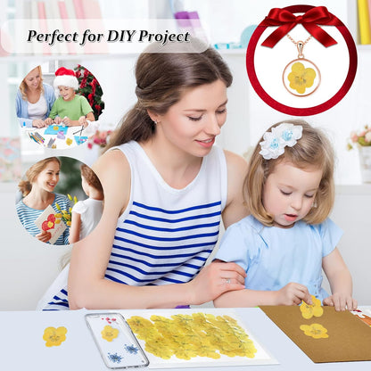 Large Size Golden Yellow Dried Sunflowers for Crafts Embellishment, Natural Real Pressed African Daisy for Resin DIY Jewellery Candle Making Phone Case Home Wedding Decor (3.14-3.54IN)
