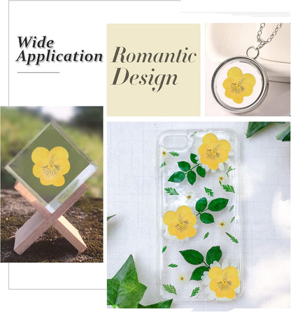Large Size Golden Yellow Dried Sunflowers for Crafts Embellishment, Natural Real Pressed African Daisy for Resin DIY Jewellery Candle Making Phone Case Home Wedding Decor (3.14-3.54IN)