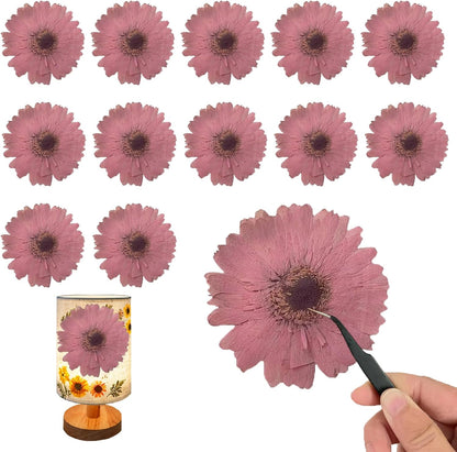 Large Size Golden Yellow Dried Sunflowers for Crafts Embellishment, Natural Real Pressed African Daisy for Resin DIY Jewellery Candle Making Phone Case Home Wedding Decor (3.14-3.54IN)