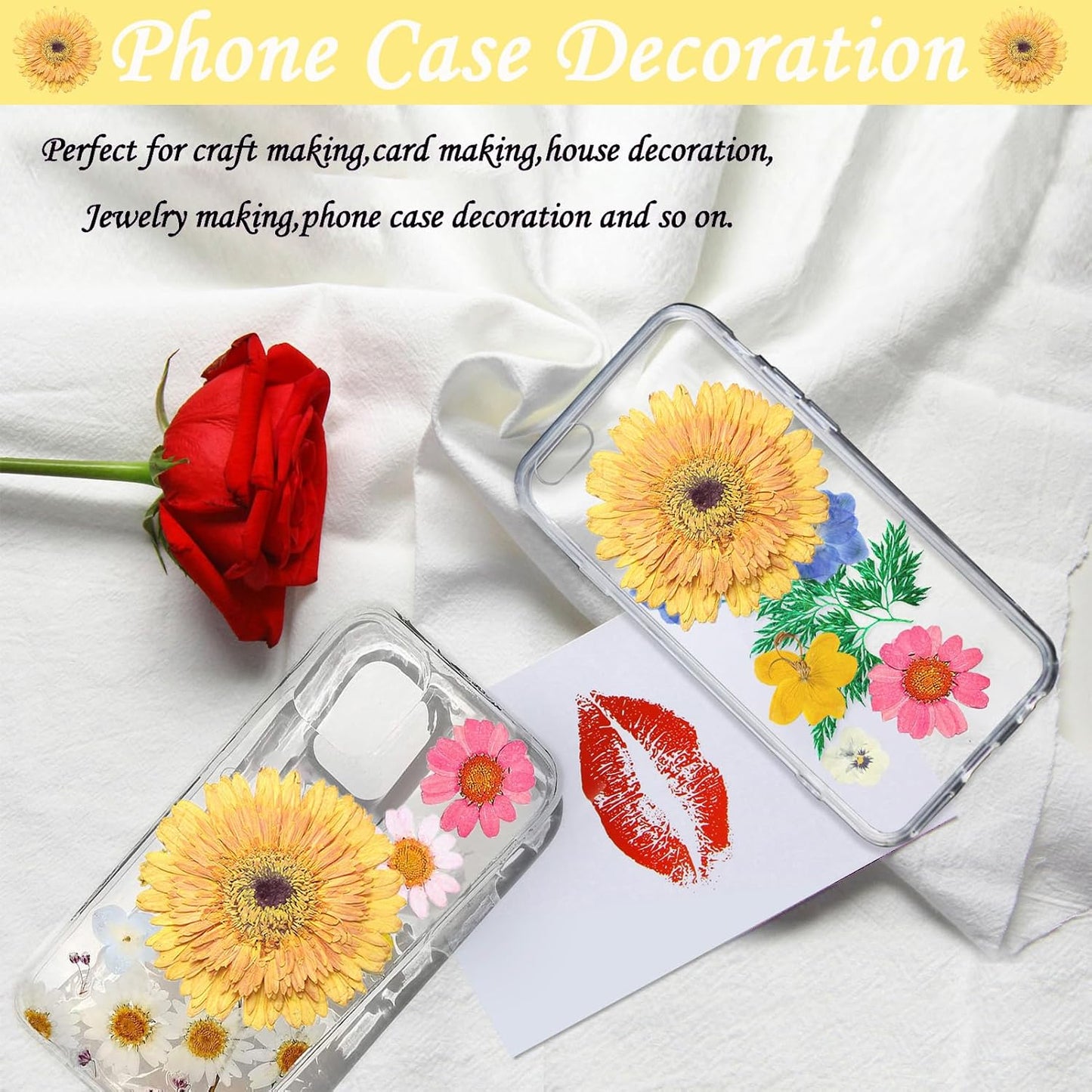 Large Size Golden Yellow Dried Sunflowers for Crafts Embellishment, Natural Real Pressed African Daisy for Resin DIY Jewellery Candle Making Phone Case Home Wedding Decor (3.14-3.54IN)