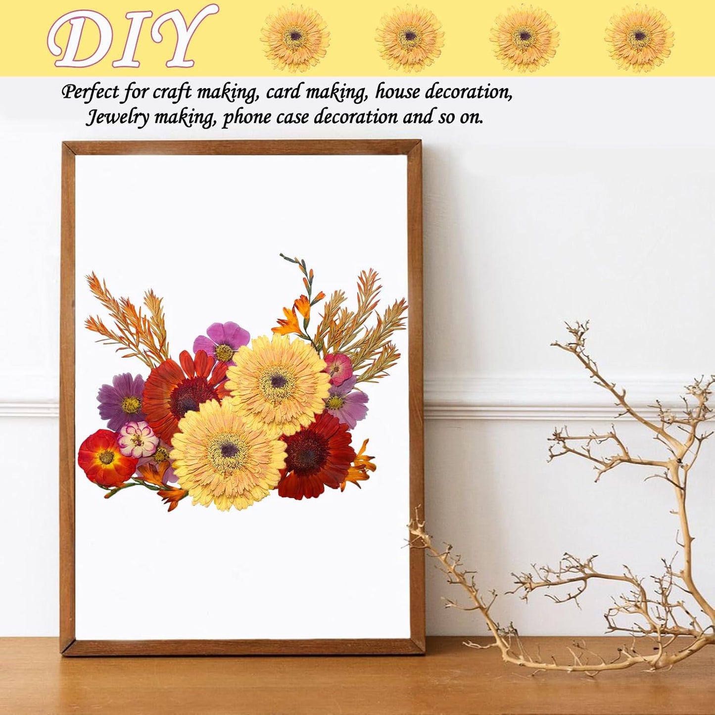 Large Size Golden Yellow Dried Sunflowers for Crafts Embellishment, Natural Real Pressed African Daisy for Resin DIY Jewellery Candle Making Phone Case Home Wedding Decor (3.14-3.54IN)