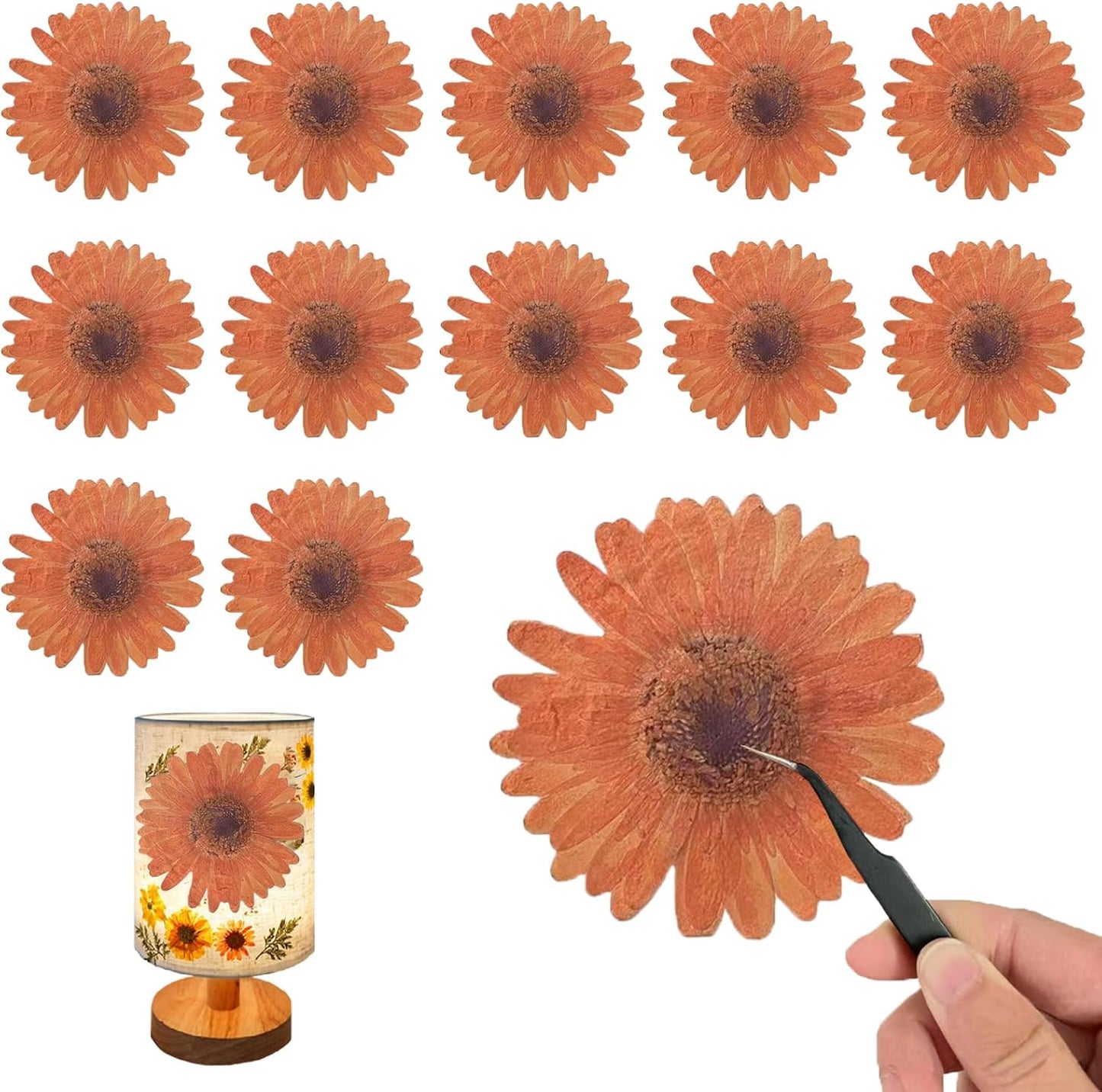 Large Size Golden Yellow Dried Sunflowers for Crafts Embellishment, Natural Real Pressed African Daisy for Resin DIY Jewellery Candle Making Phone Case Home Wedding Decor (3.14-3.54IN)