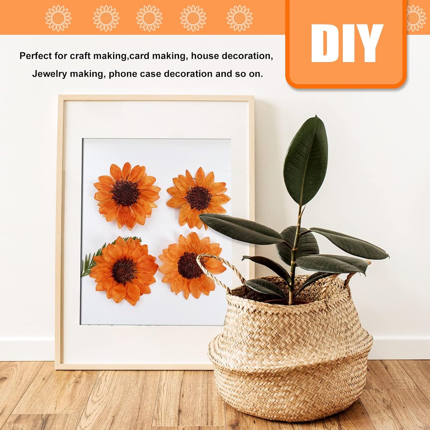 Large Size Golden Yellow Dried Sunflowers for Crafts Embellishment, Natural Real Pressed African Daisy for Resin DIY Jewellery Candle Making Phone Case Home Wedding Decor (3.14-3.54IN)