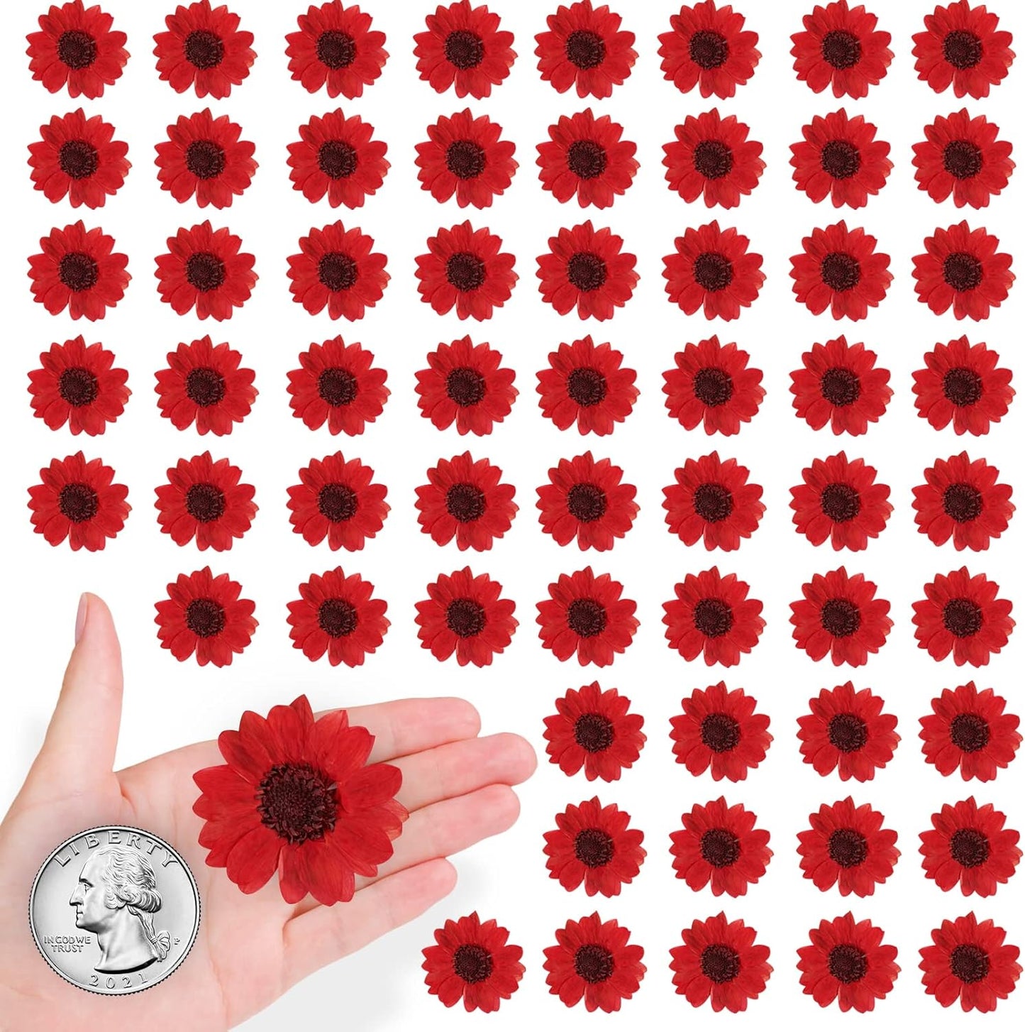 Large Size Golden Yellow Dried Sunflowers for Crafts Embellishment, Natural Real Pressed African Daisy for Resin DIY Jewellery Candle Making Phone Case Home Wedding Decor (3.14-3.54IN)