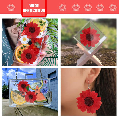Large Size Golden Yellow Dried Sunflowers for Crafts Embellishment, Natural Real Pressed African Daisy for Resin DIY Jewellery Candle Making Phone Case Home Wedding Decor (3.14-3.54IN)