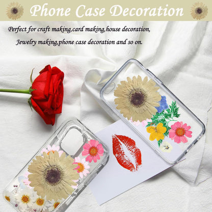 Large Size Golden Yellow Dried Sunflowers for Crafts Embellishment, Natural Real Pressed African Daisy for Resin DIY Jewellery Candle Making Phone Case Home Wedding Decor (3.14-3.54IN)