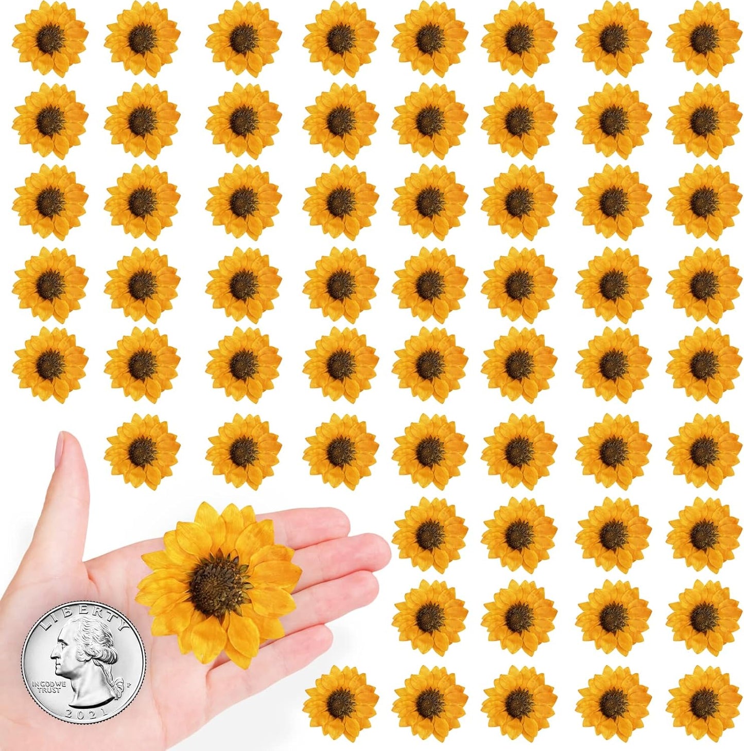 Large Size Golden Yellow Dried Sunflowers for Crafts Embellishment, Natural Real Pressed African Daisy for Resin DIY Jewellery Candle Making Phone Case Home Wedding Decor (3.14-3.54IN)