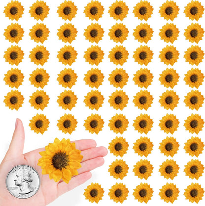 Large Size Golden Yellow Dried Sunflowers for Crafts Embellishment, Natural Real Pressed African Daisy for Resin DIY Jewellery Candle Making Phone Case Home Wedding Decor (3.14-3.54IN)