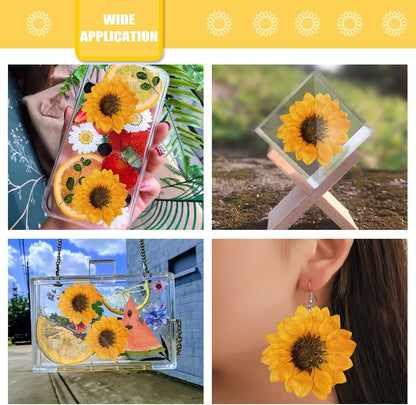 Large Size Golden Yellow Dried Sunflowers for Crafts Embellishment, Natural Real Pressed African Daisy for Resin DIY Jewellery Candle Making Phone Case Home Wedding Decor (3.14-3.54IN)