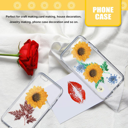 Large Size Golden Yellow Dried Sunflowers for Crafts Embellishment, Natural Real Pressed African Daisy for Resin DIY Jewellery Candle Making Phone Case Home Wedding Decor (3.14-3.54IN)