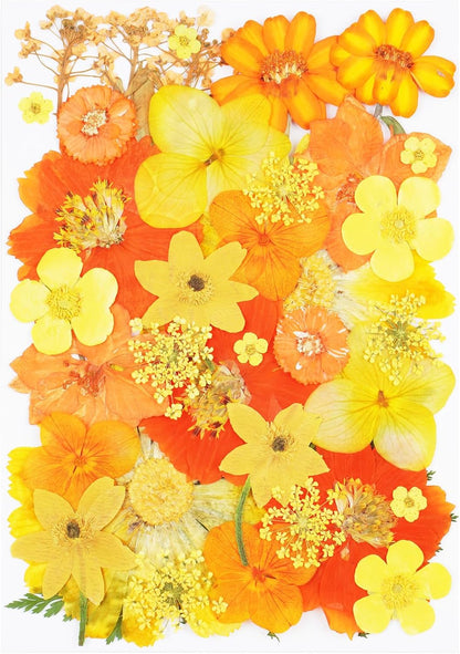40Pcs Dried Pressed Flowers for Crafts, Dry Flowers Kit for Resin Molds,Epoxy Resin Accessories,Bookmark,Nails, Jewelry Molds,Candle Making Supplies,Soap,Frame,Cakes(Orange Yellow)