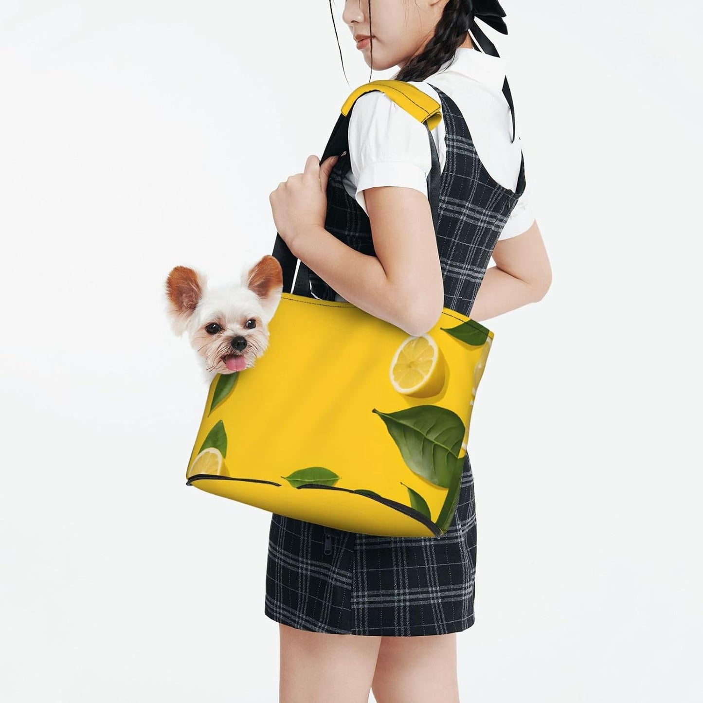 Yellow Lemon Printed Foldable Pet Bag - Portable Puppy Cat Travel Handbag Tote,Pet Carrier Backpacks.