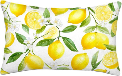 Yellow Lemon Decorative Pillowcases 20X30 Inch Throw Pillow Cover Sham Queen for Home Bedroom Men Women