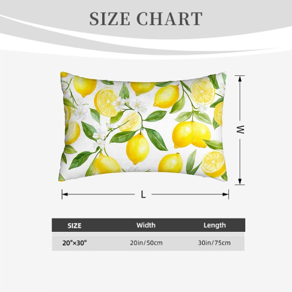 Yellow Lemon Decorative Pillowcases 20X30 Inch Throw Pillow Cover Sham Queen for Home Bedroom Men Women