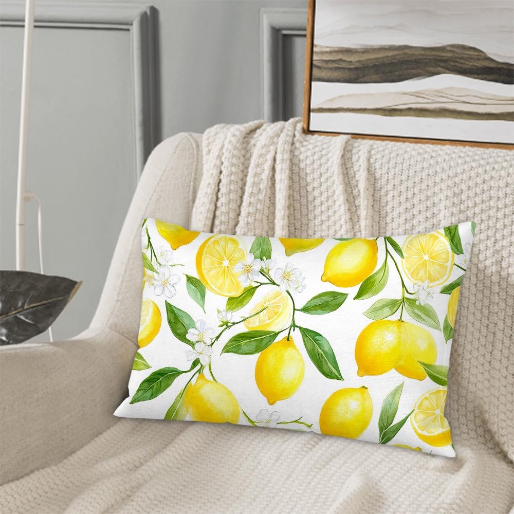 Yellow Lemon Decorative Pillowcases 20X30 Inch Throw Pillow Cover Sham Queen for Home Bedroom Men Women