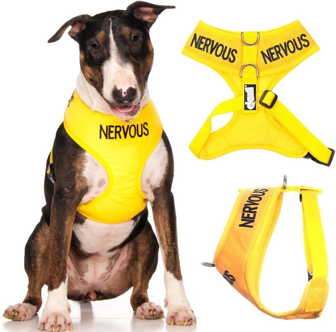Limited Nervous (Give Me Space) Yellow Color Coded Non-Pull Front and Back D Ring Padded and Waterproof Vest Dog Harness Prevents Accidents by Warning Others of Your Dog in Advance (L)